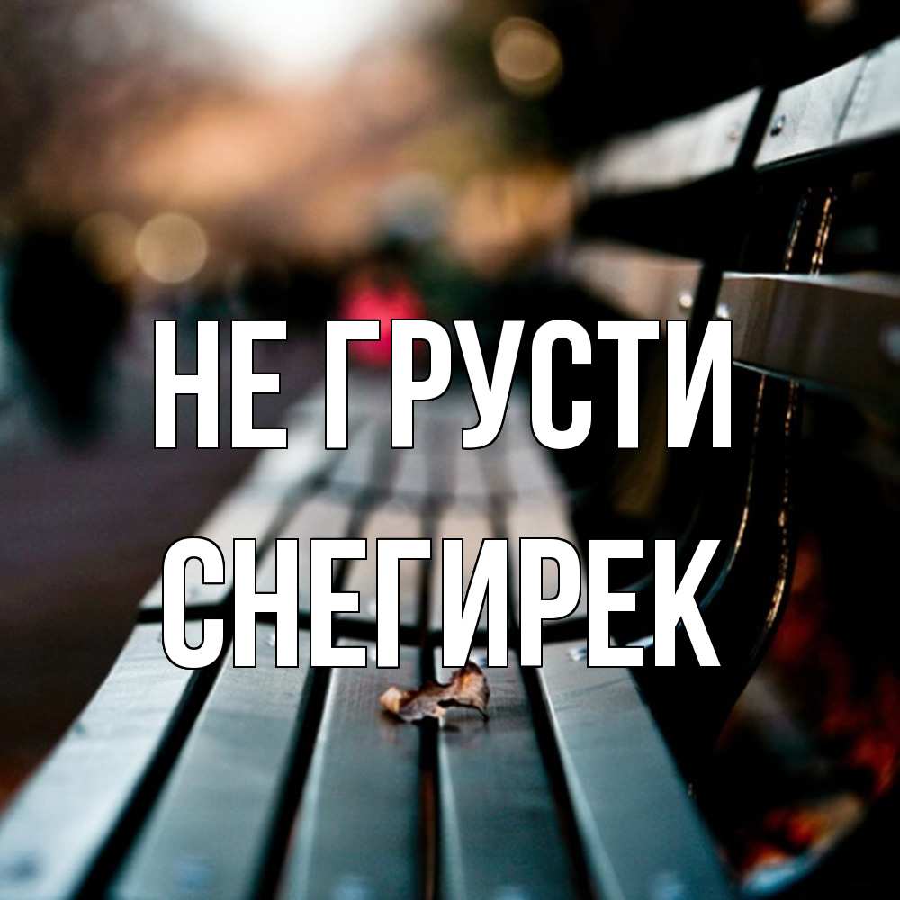 Открытка на каждый день с именем, снегирек Не грусти размытый фон Прикольная открытка с пожеланием онлайн скачать бесплатно 