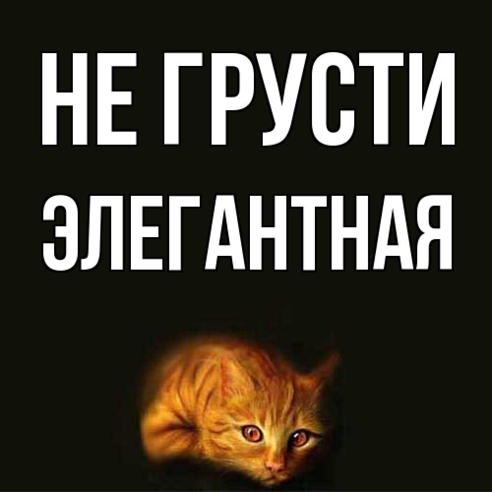 Открытка на каждый день с именем, элегантная Не грусти лежащий кот в темноте Прикольная открытка с пожеланием онлайн скачать бесплатно 