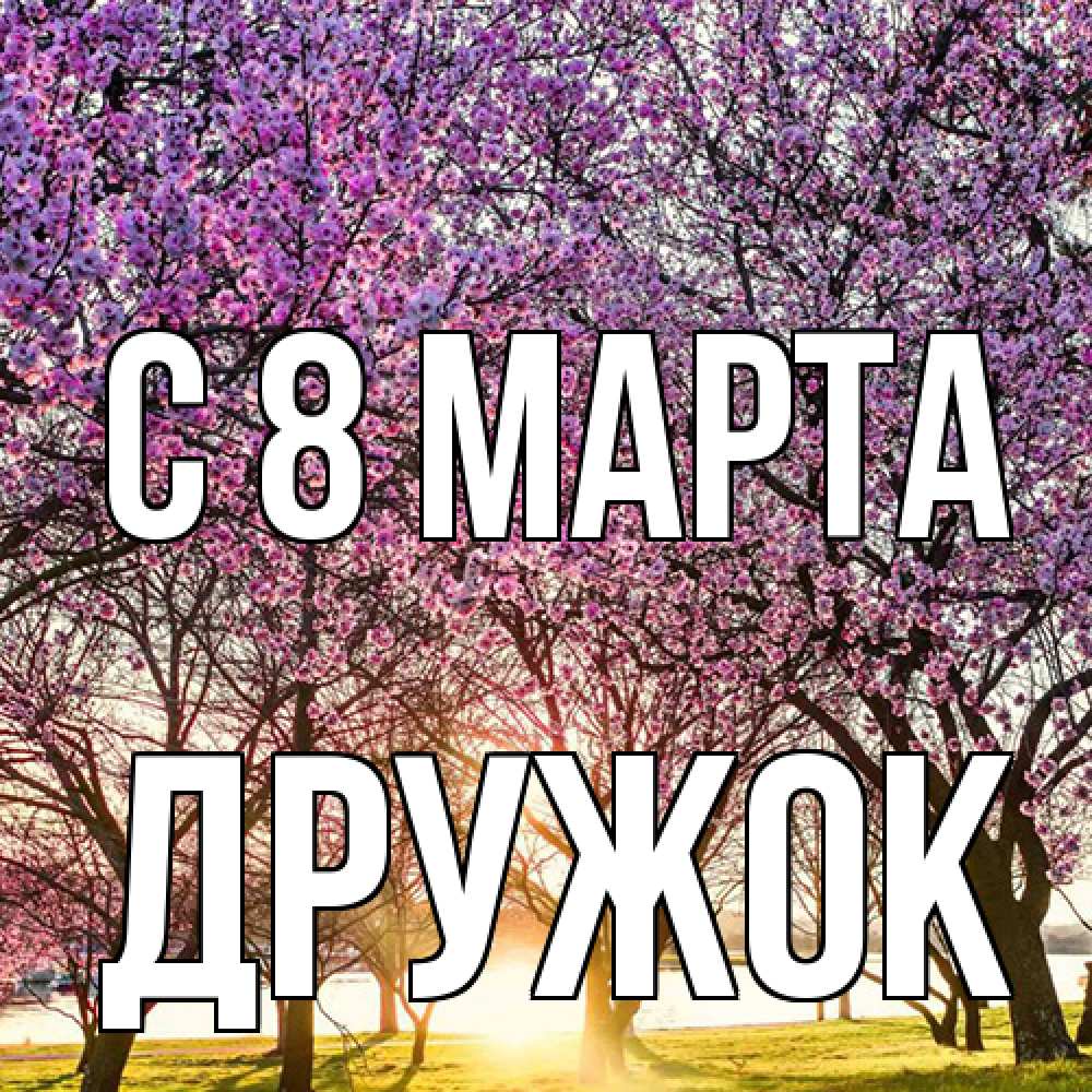 Открытка на каждый день с именем, Дружок C 8 МАРТА международный женский день Прикольная открытка с пожеланием онлайн скачать бесплатно 