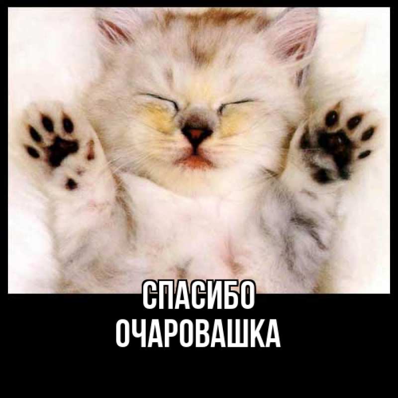 Картинка Спасибо, Очаpовашка