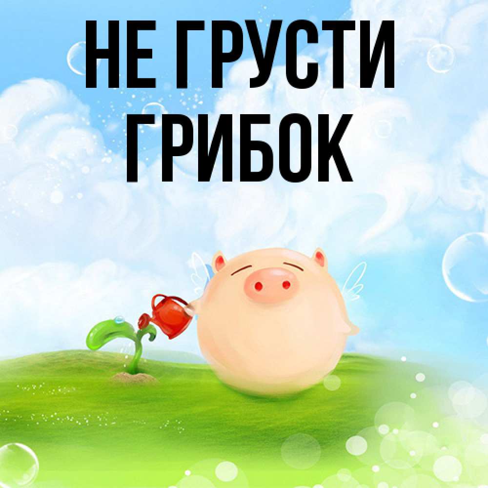 Открытка на каждый день с именем, Грибок Не грусти поливает цветок порося Прикольная открытка с пожеланием онлайн скачать бесплатно 