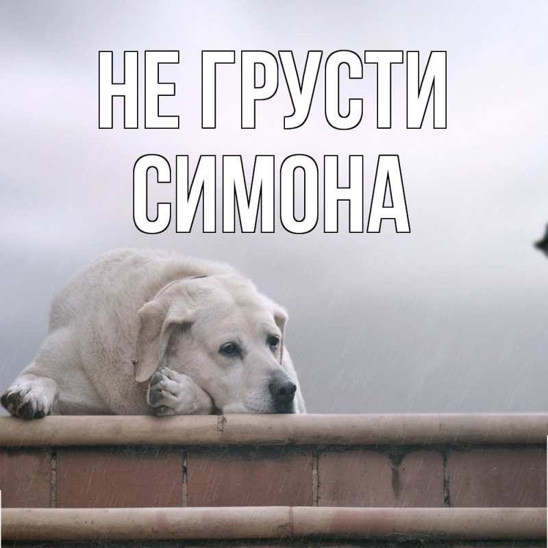 Картинка Не грусти, Симона