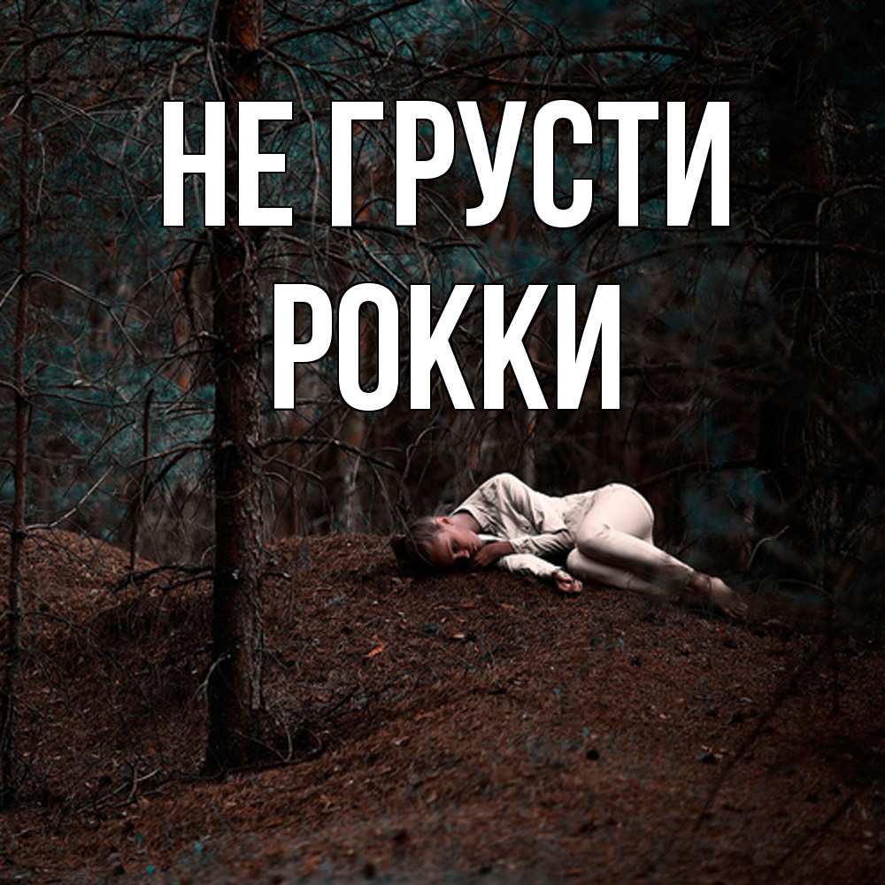 Открытка на каждый день с именем, Рокки Не грусти лес Прикольная открытка с пожеланием онлайн скачать бесплатно 
