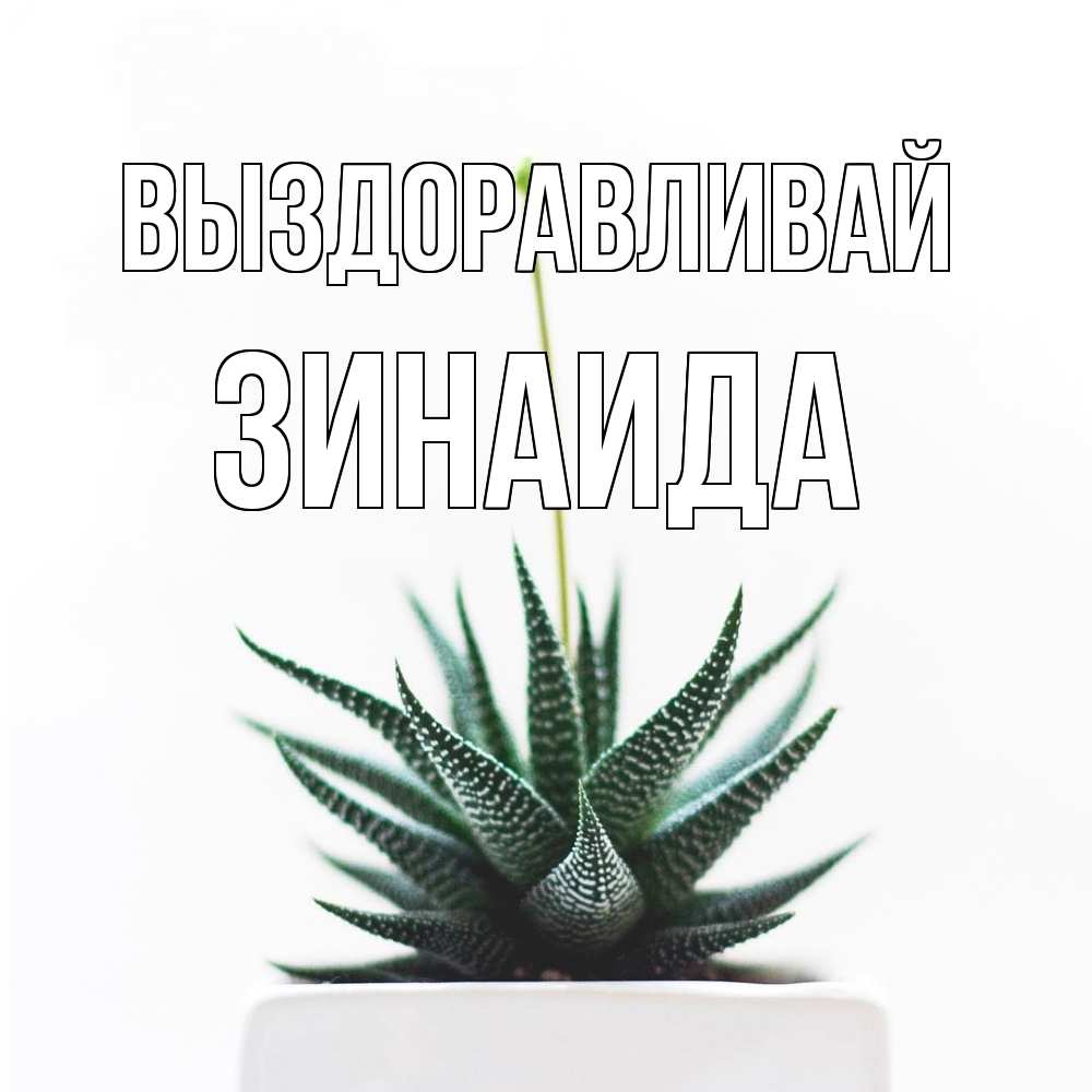 Открытка на каждый день с именем, Зинаида Выздоравливай короче это непонятная колючка Прикольная открытка с пожеланием онлайн скачать бесплатно 