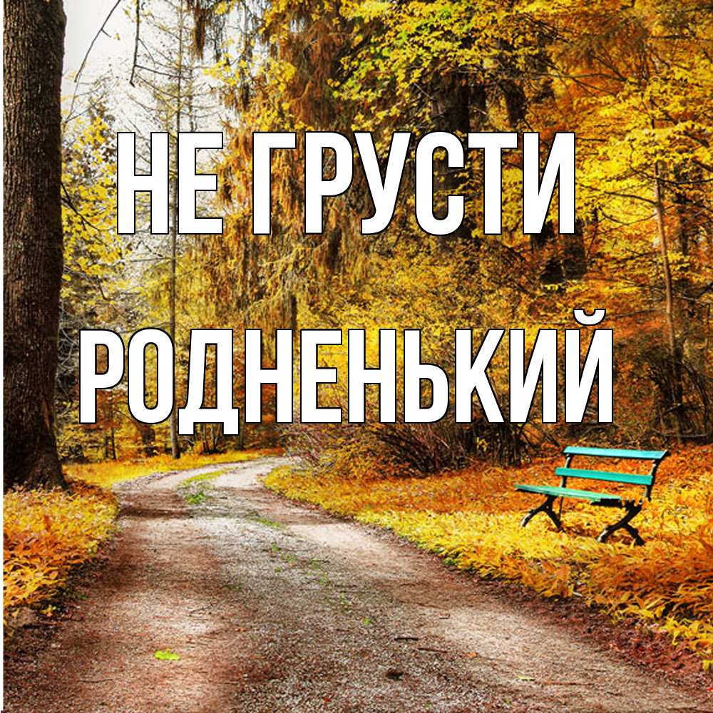 Открытка на каждый день с именем, Родненький Не грусти зеленая лавочка Прикольная открытка с пожеланием онлайн скачать бесплатно 