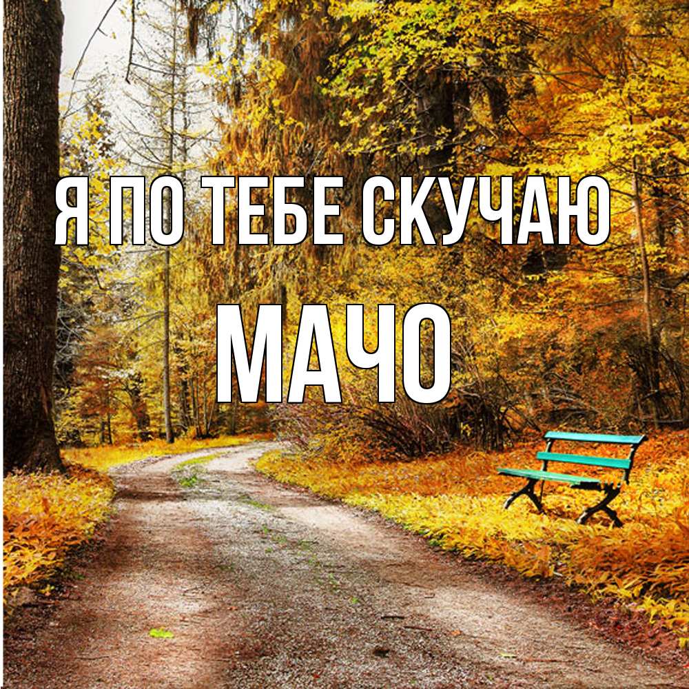 Открытка на каждый день с именем, Мачо Я по тебе скучаю зеленая лавочка и осенний лес Прикольная открытка с пожеланием онлайн скачать бесплатно 