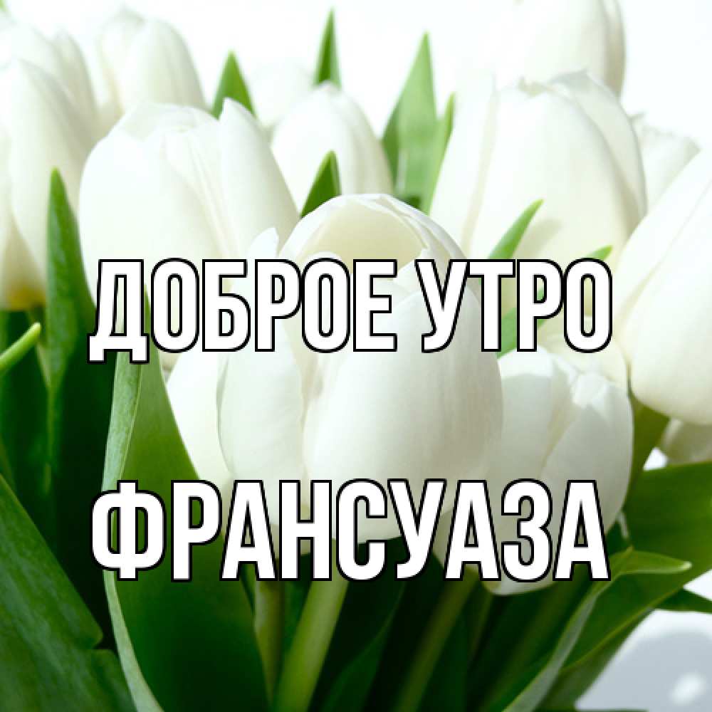 Открытка на каждый день с именем, Франсуаза Доброе утро открытки на каждый день по именам Прикольная открытка с пожеланием онлайн скачать бесплатно 