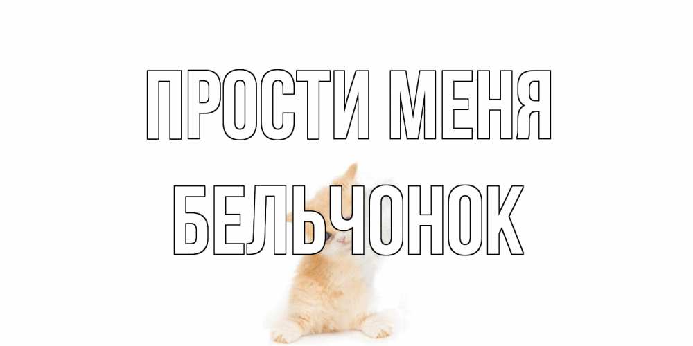 Открытка на каждый день с именем, бельчонок Прости меня кот Прикольная открытка с пожеланием онлайн скачать бесплатно 