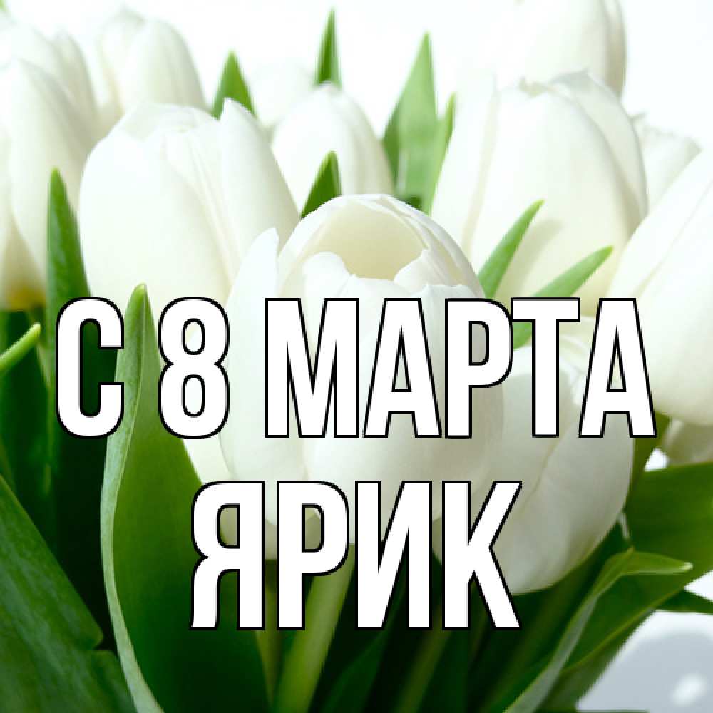 Открытка на каждый день с именем, Ярик C 8 МАРТА цветы Прикольная открытка с пожеланием онлайн скачать бесплатно 