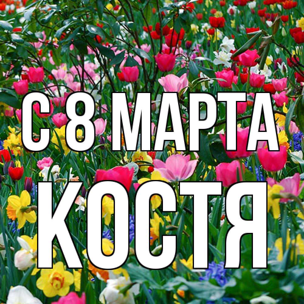 Открытка на каждый день с именем, Костя C 8 МАРТА с международным женским днем поздравления для женщины Прикольная открытка с пожеланием онлайн скачать бесплатно 