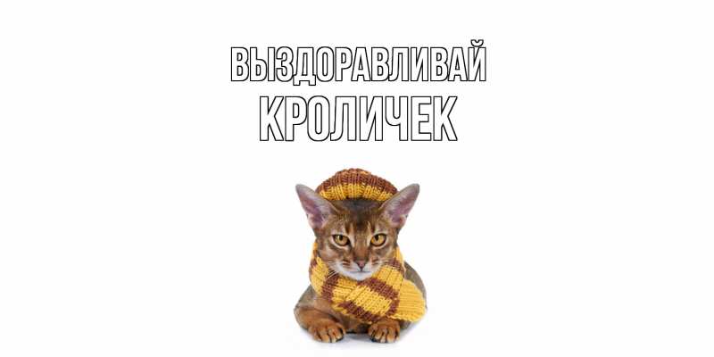 Картинка Выздоравливай, кроличек