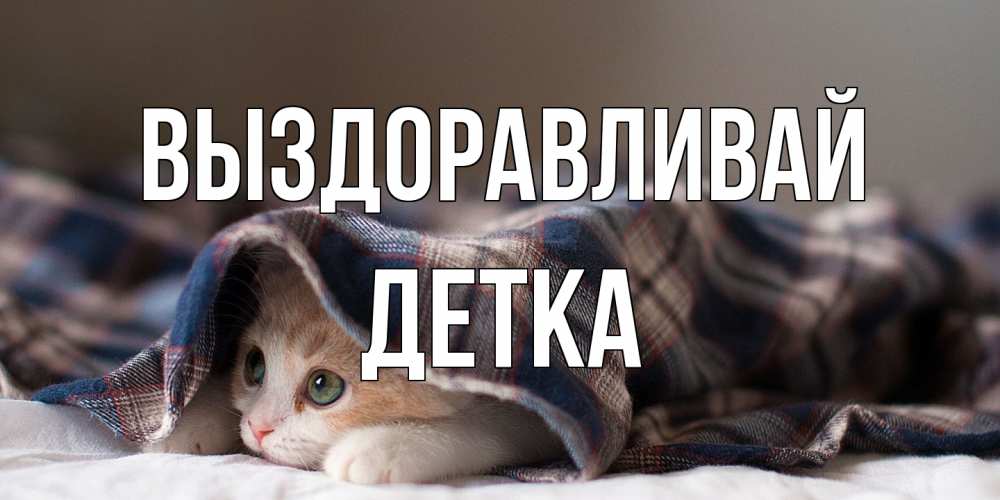 Открытка на каждый день с именем, Детка Выздоравливай не болейте с котиком Прикольная открытка с пожеланием онлайн скачать бесплатно 