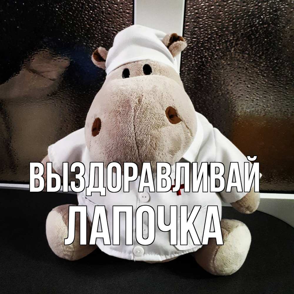 Открытка на каждый день с именем, лапочка Выздоравливай всех излечит исцелит Прикольная открытка с пожеланием онлайн скачать бесплатно 