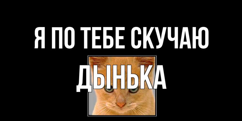 Открытка на каждый день с именем, Дынька Я по тебе скучаю открытки рыжий котенок скучает по тебе Прикольная открытка с пожеланием онлайн скачать бесплатно 