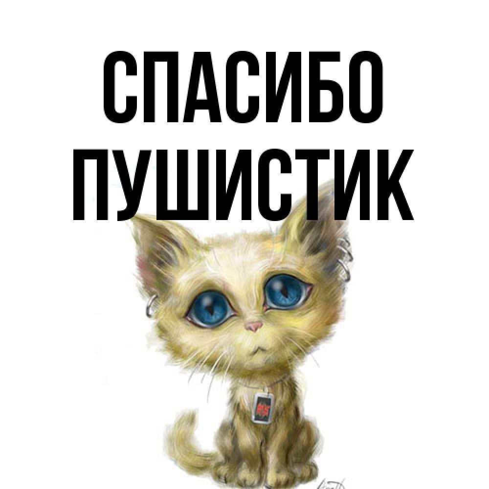 Открытка на каждый день с именем, Пушистик Спасибо рисованный кот благодарит вас Прикольная открытка с пожеланием онлайн скачать бесплатно 