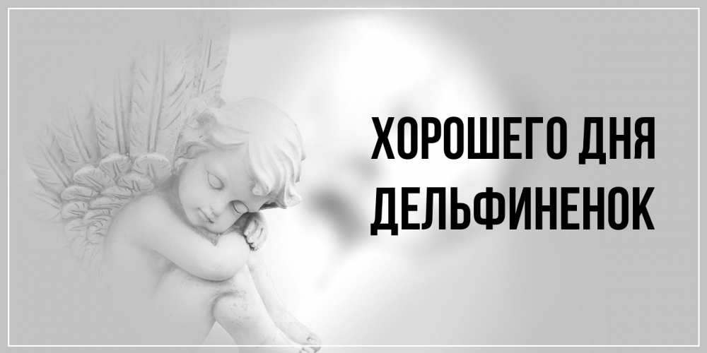 Открытка на каждый день с именем, дельфиненок Хорошего дня ангел Прикольная открытка с пожеланием онлайн скачать бесплатно 