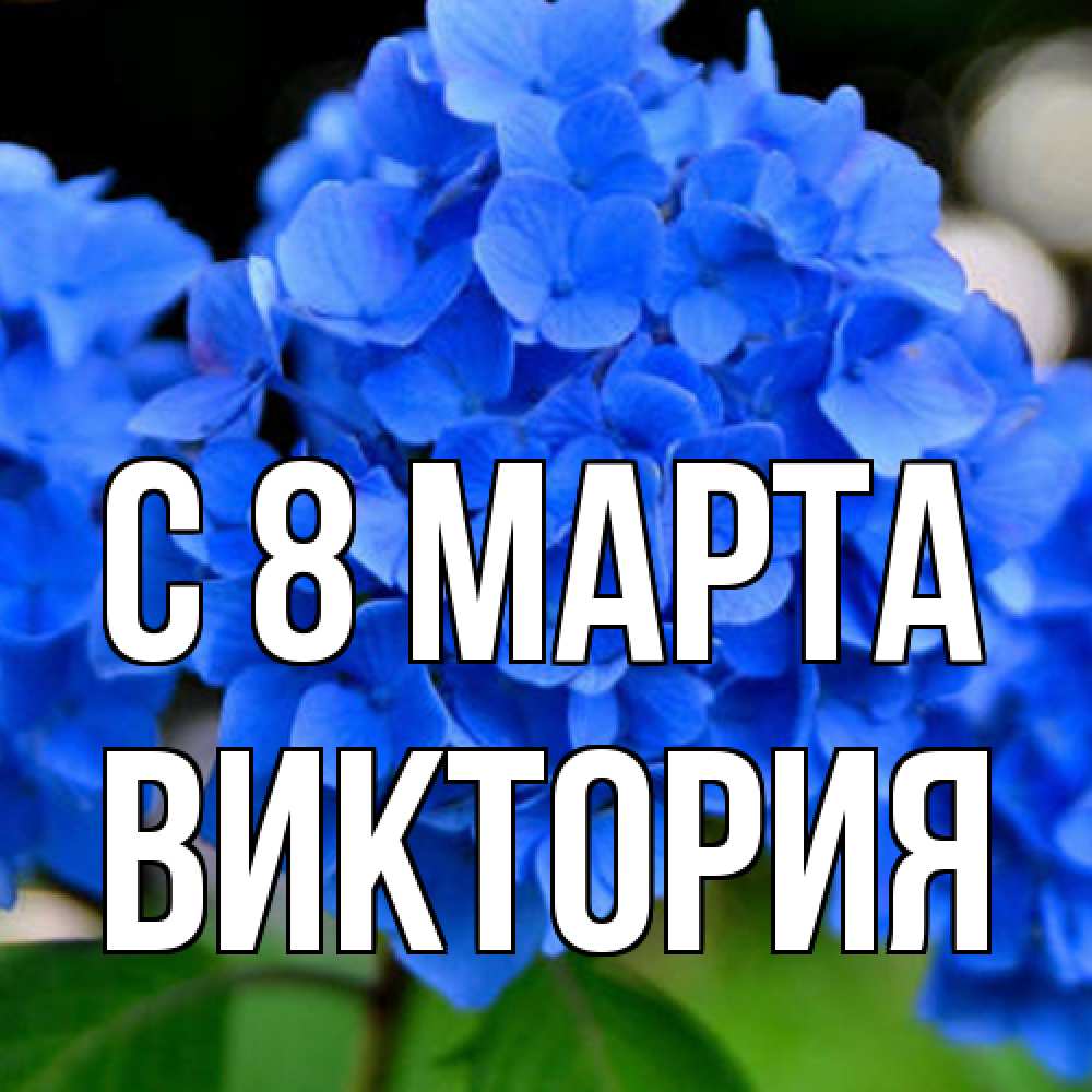 Открытка на каждый день с именем, Виктория C 8 МАРТА синие цветы Прикольная открытка с пожеланием онлайн скачать бесплатно 