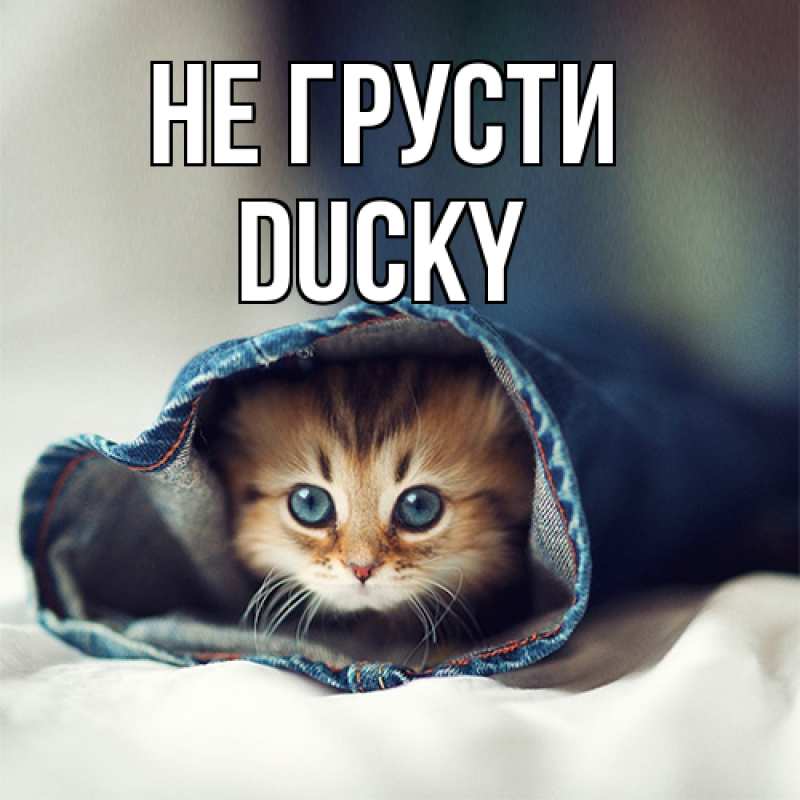 Открытка с именем, Ducky, Не грусти