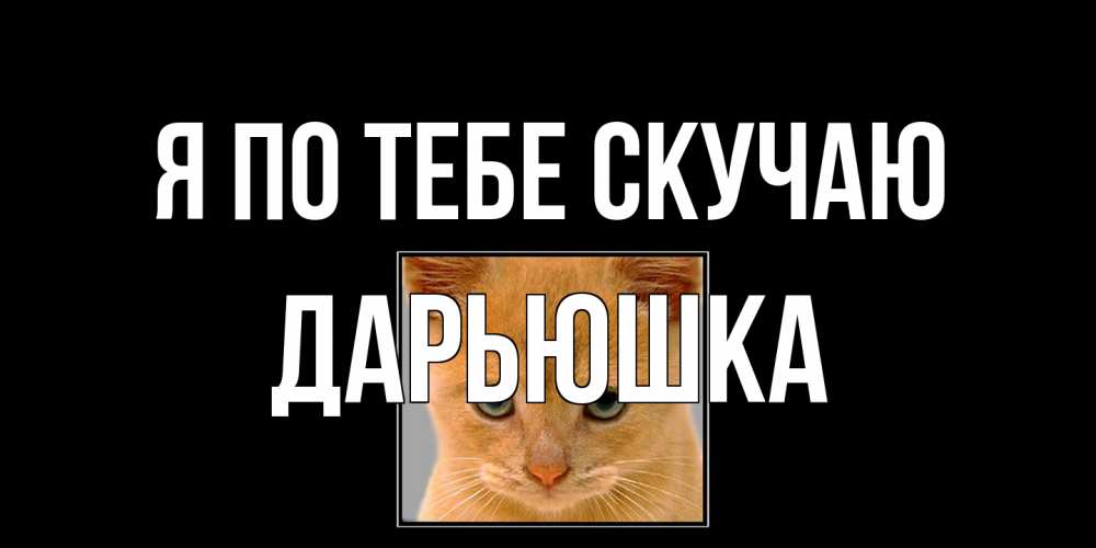 Открытка на каждый день с именем, Дарьюшка Я по тебе скучаю открытки рыжий котенок скучает по тебе Прикольная открытка с пожеланием онлайн скачать бесплатно 