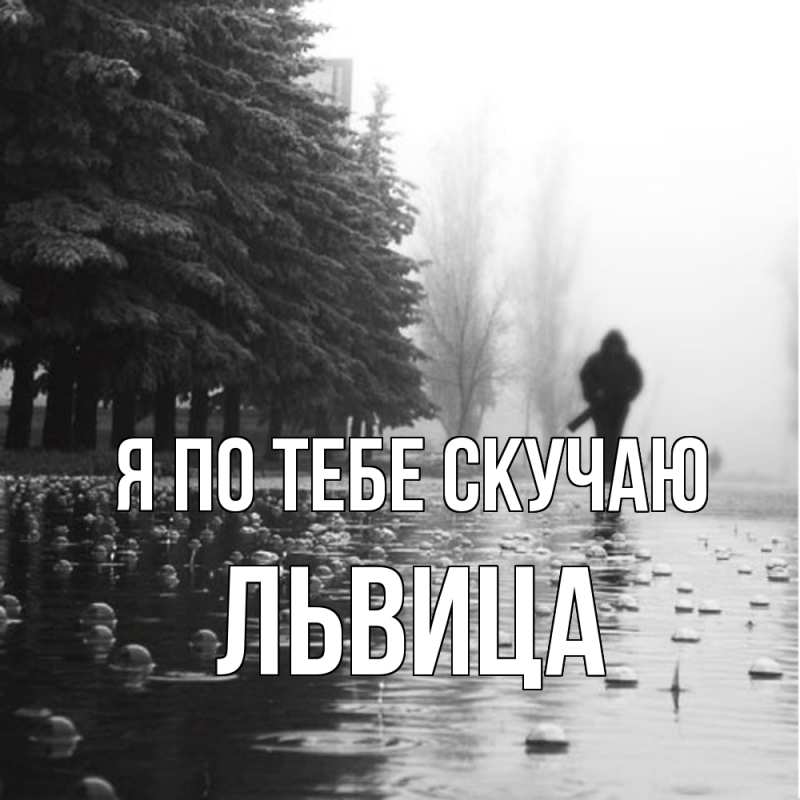 Картинка Я по тебе скучаю, Львица