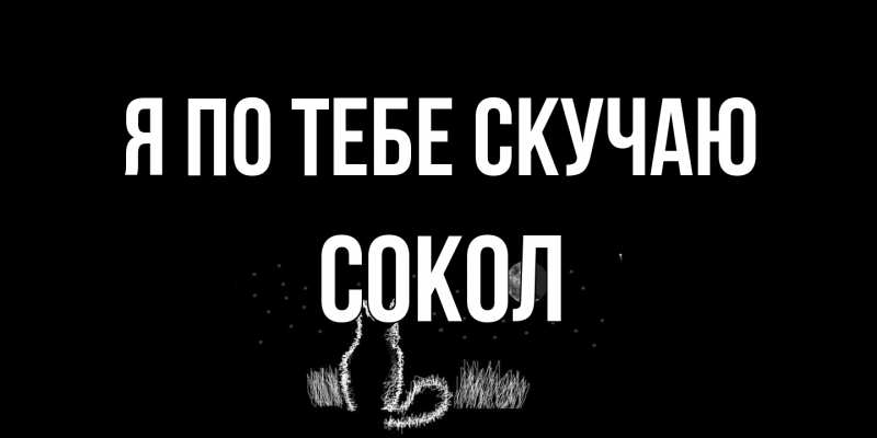 Картинка Я по тебе скучаю, Сокол