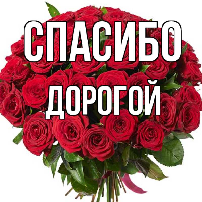Картинка Спасибо, Дорогой