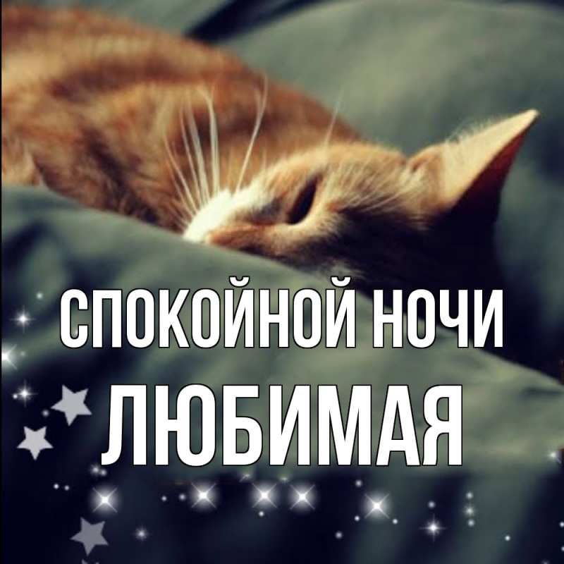 Картинка Спокойной ночи, Любимая