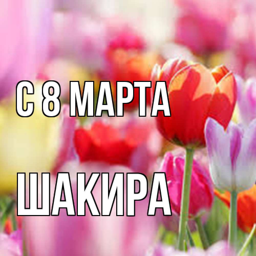 Открытка на каждый день с именем, Шакира C 8 МАРТА на международный женский день 2 Прикольная открытка с пожеланием онлайн скачать бесплатно 