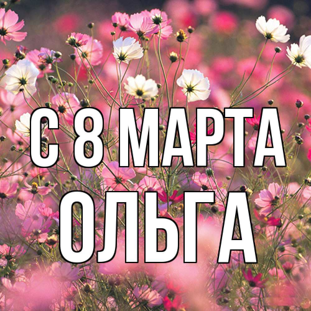 Открытка на каждый день с именем, Ольга C 8 МАРТА красиво 1 Прикольная открытка с пожеланием онлайн скачать бесплатно 