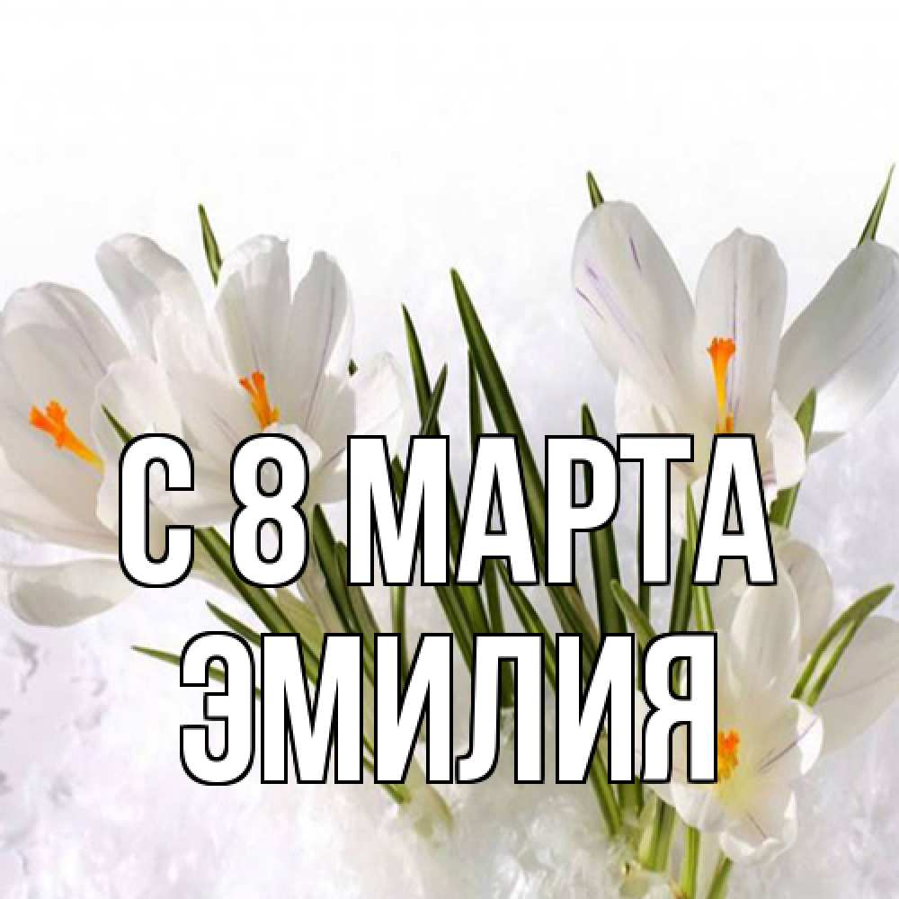 Открытка на каждый день с именем, Эмилия C 8 МАРТА под снегом Прикольная открытка с пожеланием онлайн скачать бесплатно 