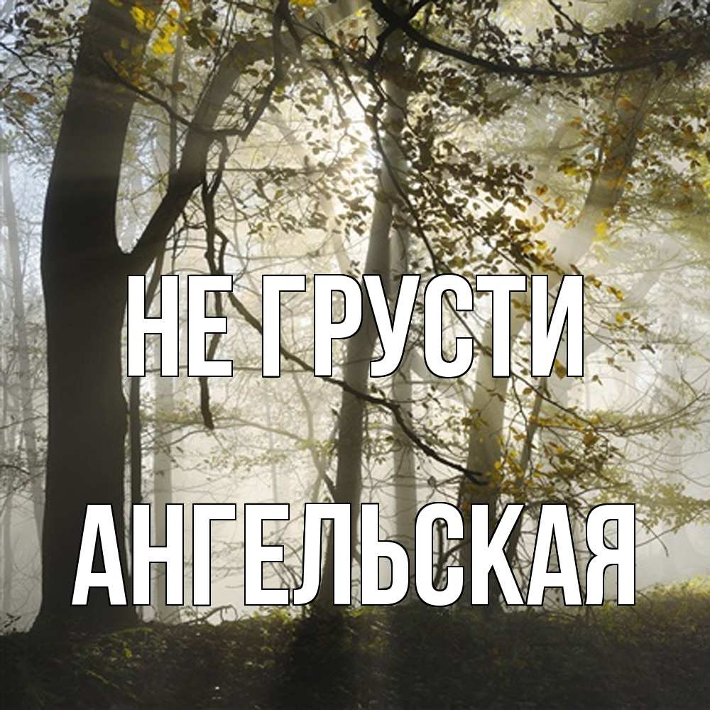 Открытка на каждый день с именем, Ангельская Не грусти лес и свет Прикольная открытка с пожеланием онлайн скачать бесплатно 
