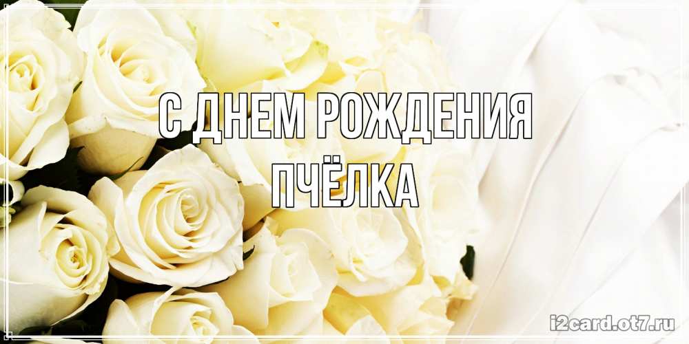 Открытка на каждый день с именем, Пчёлка С днем рождения белые розы в букете Прикольная открытка с пожеланием онлайн скачать бесплатно 