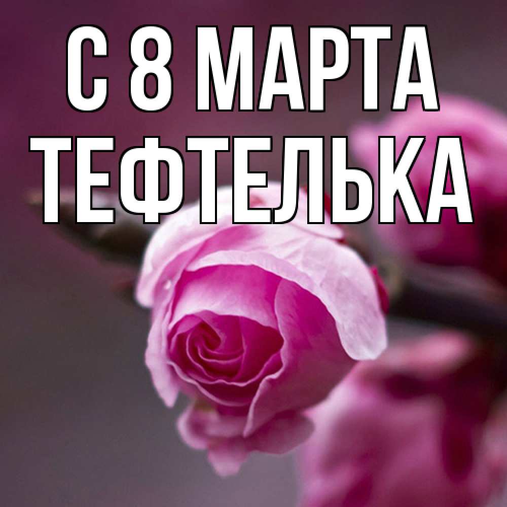 Открытка на каждый день с именем, тефтелька C 8 МАРТА весна Прикольная открытка с пожеланием онлайн скачать бесплатно 