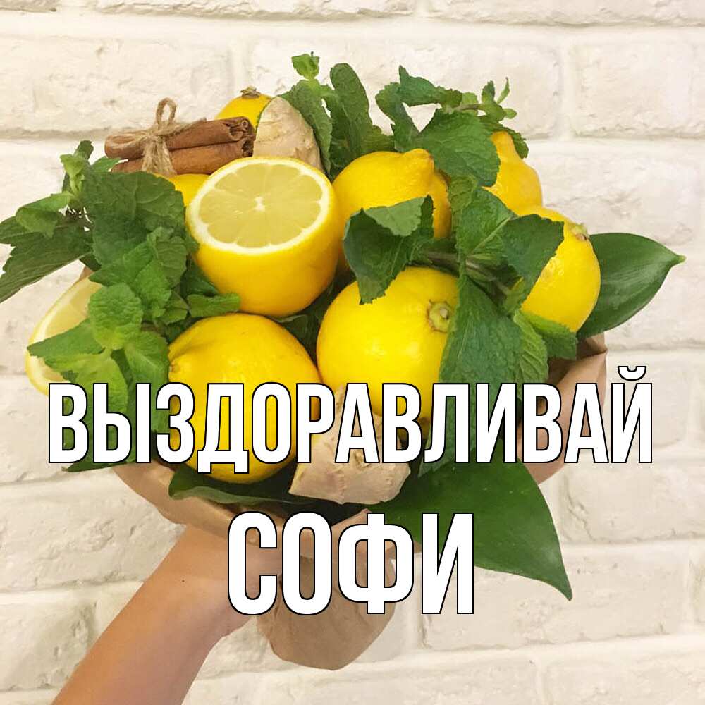 Открытка на каждый день с именем, Софи Выздоравливай витамины Прикольная открытка с пожеланием онлайн скачать бесплатно 