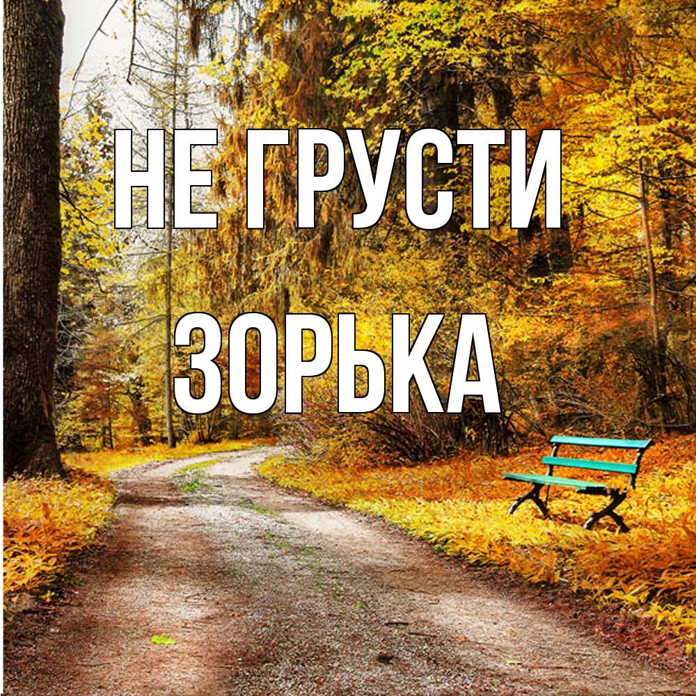 Открытка на каждый день с именем, Зоpька Не грусти зеленая лавочка Прикольная открытка с пожеланием онлайн скачать бесплатно 