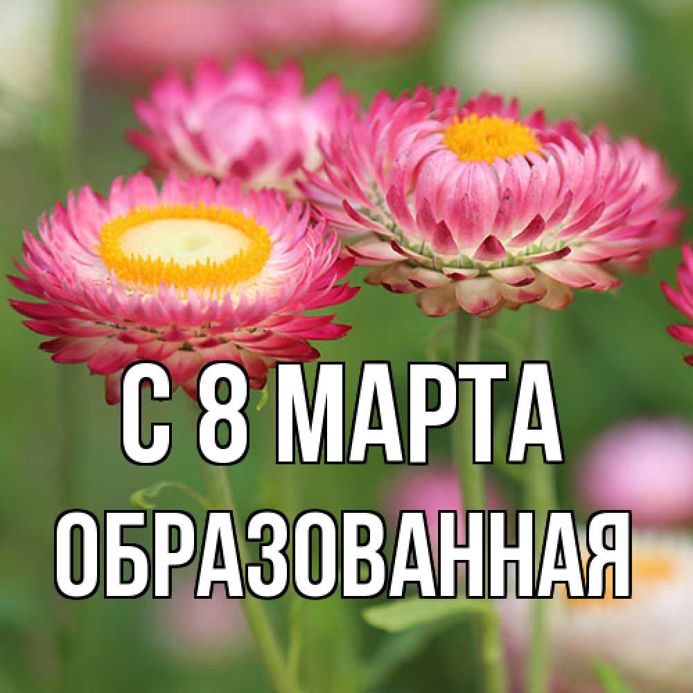 Открытка на каждый день с именем, Образованная C 8 МАРТА подарок на международный женский день Прикольная открытка с пожеланием онлайн скачать бесплатно 