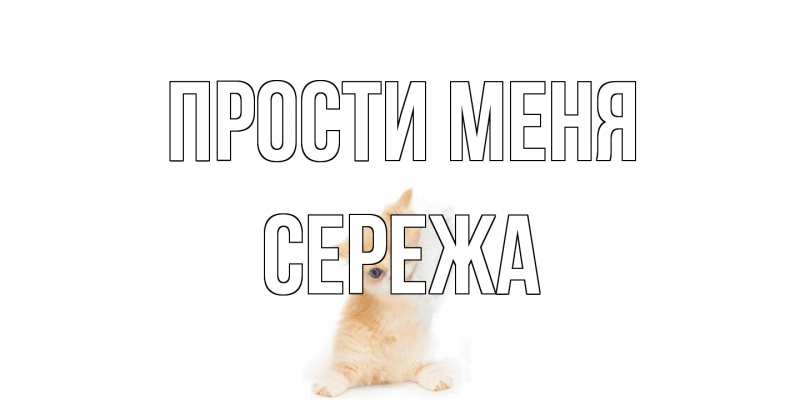 Картинка Прости меня, Сережа