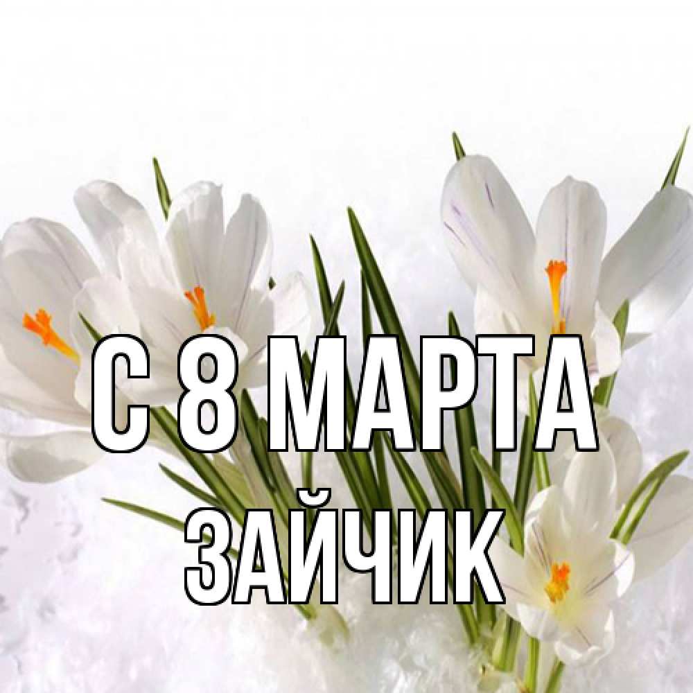 Открытка на каждый день с именем, зайчик C 8 МАРТА под снегом Прикольная открытка с пожеланием онлайн скачать бесплатно 