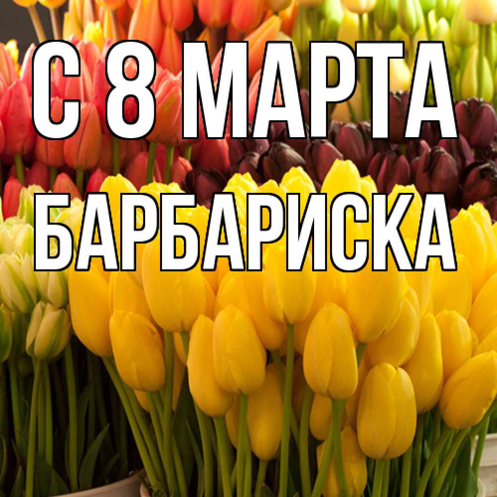 Открытка на каждый день с именем, барбариска C 8 МАРТА цветы Прикольная открытка с пожеланием онлайн скачать бесплатно 