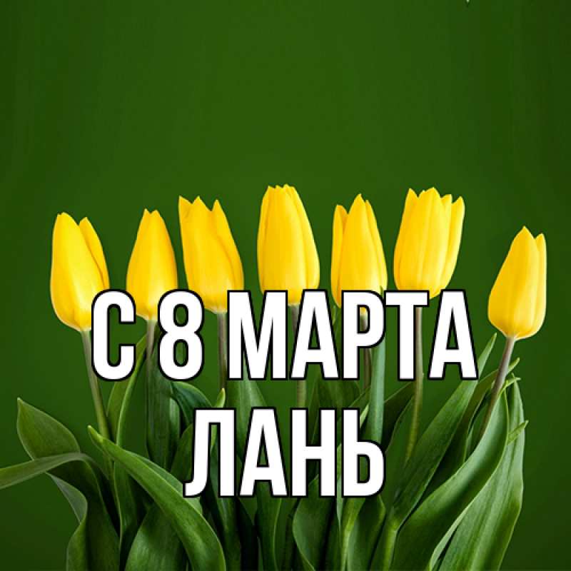 Картинка C 8 МАРТА, лань