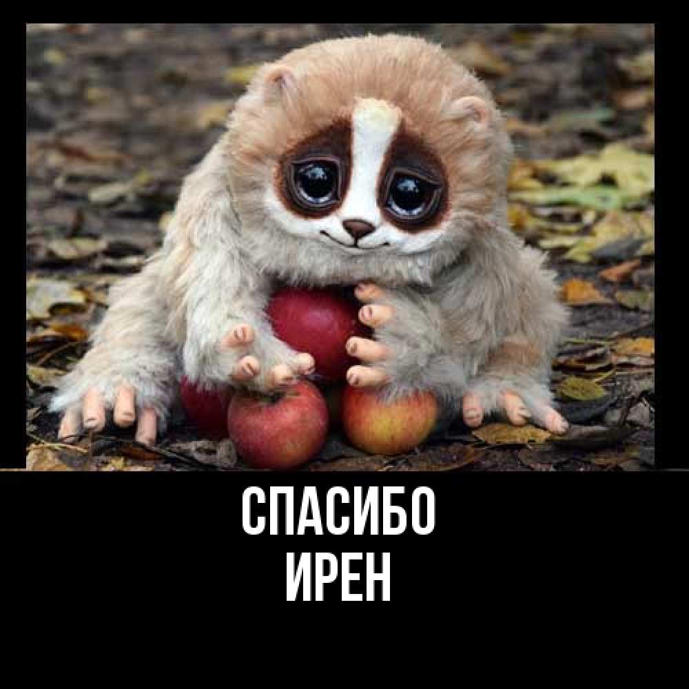 Открытка на каждый день с именем, Ирен Спасибо прикольное животное Прикольная открытка с пожеланием онлайн скачать бесплатно 