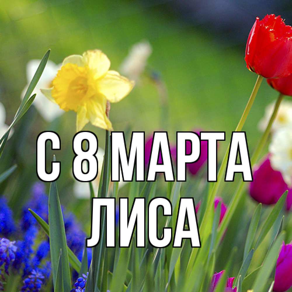 Открытка на каждый день с именем, лиса C 8 МАРТА международный женский день 3 Прикольная открытка с пожеланием онлайн скачать бесплатно 