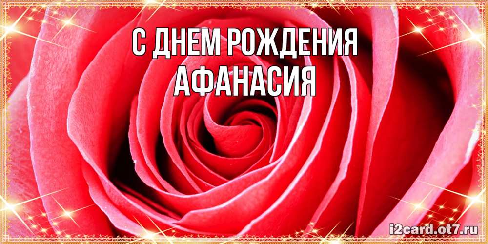 Открытка на каждый день с именем, Афанасия С днем рождения розовая роза очень крупный бутон Прикольная открытка с пожеланием онлайн скачать бесплатно 