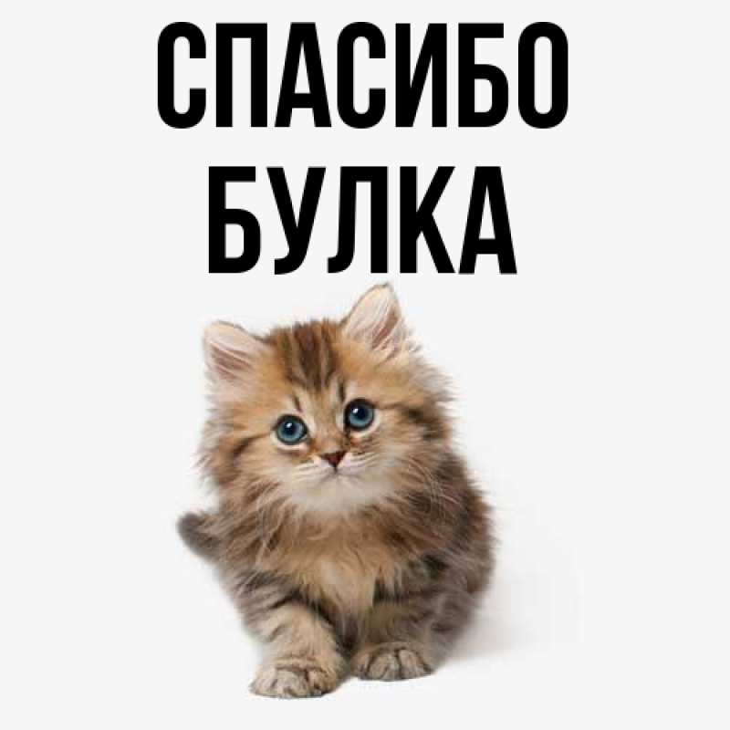 Открытка с именем, Булка, Спасибо