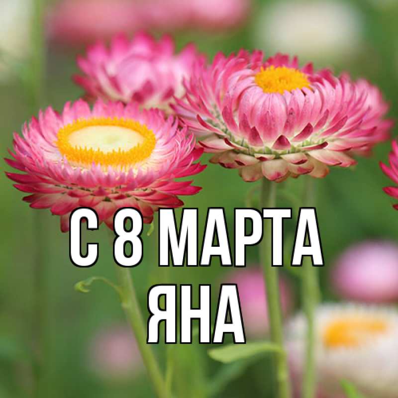 Картинка C 8 МАРТА, Яна