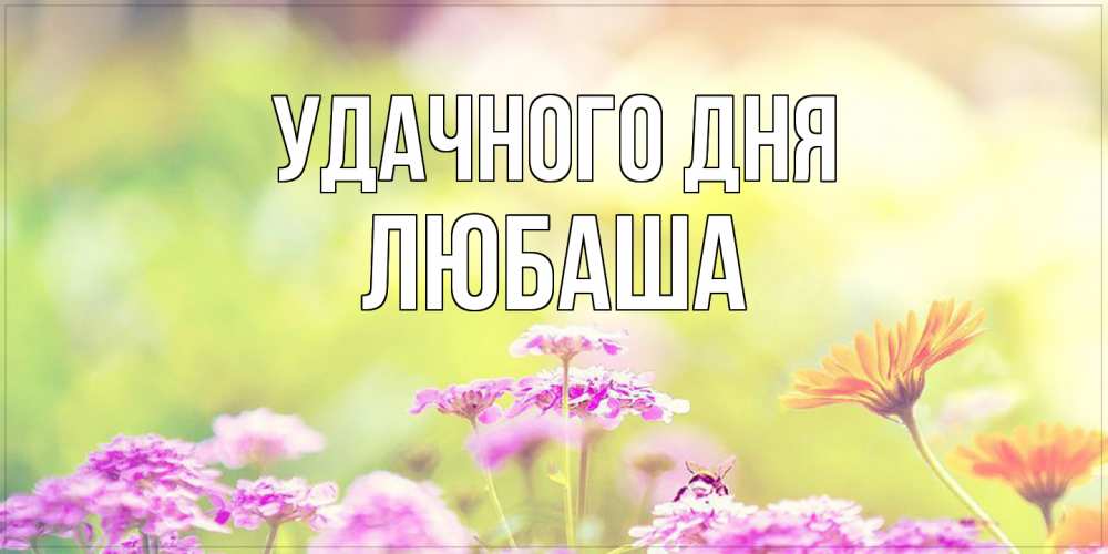 Открытка на каждый день с именем, Любаша Удачного дня красивая открытка с летней темой Прикольная открытка с пожеланием онлайн скачать бесплатно 