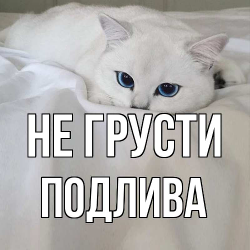 Картинка Не грусти, Подлива