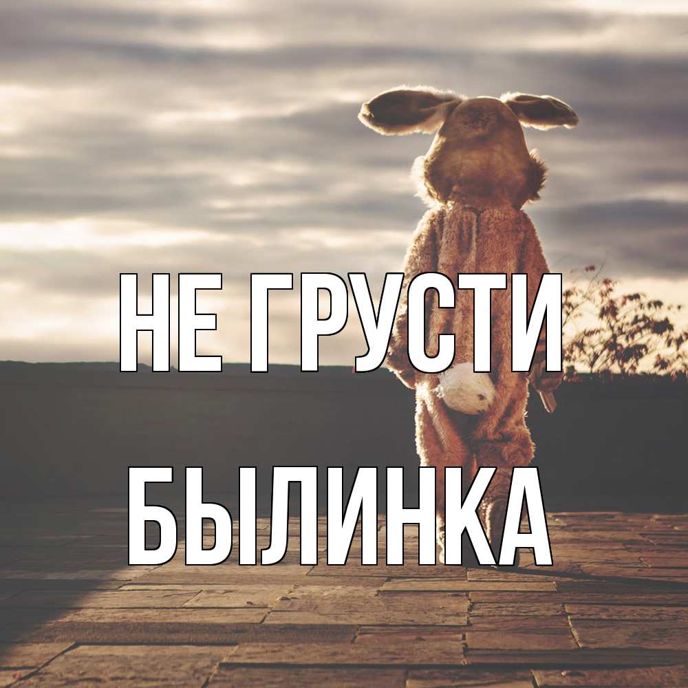 Открытка на каждый день с именем, былинка Не грусти со спины Прикольная открытка с пожеланием онлайн скачать бесплатно 