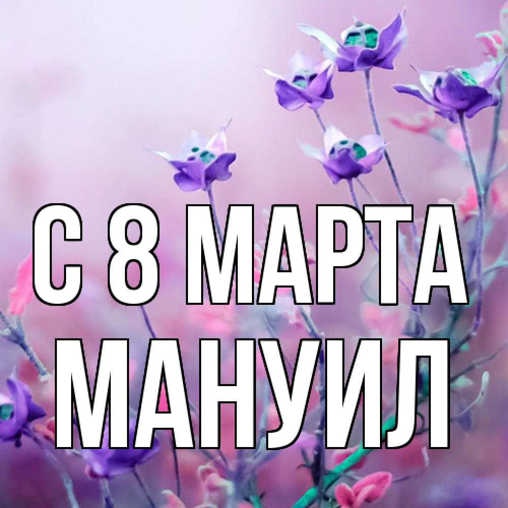 Открытка на каждый день с именем, Мануил C 8 МАРТА международный женский день 2 Прикольная открытка с пожеланием онлайн скачать бесплатно 