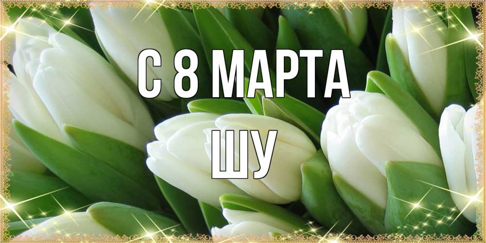 Открытка на каждый день с именем, Шу C 8 МАРТА поздравляем с 8 марта Прикольная открытка с пожеланием онлайн скачать бесплатно 
